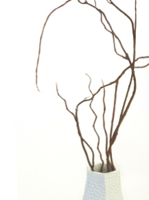 Picture for category Willows