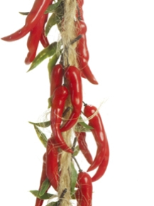 Picture for category Chili Garland