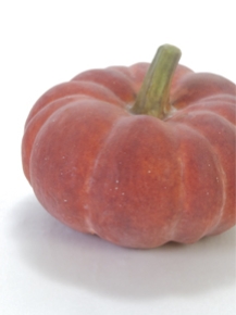Picture for category Pumpkin