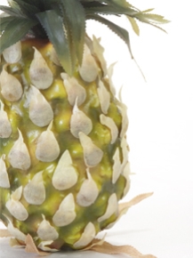 Picture for category Pineapple