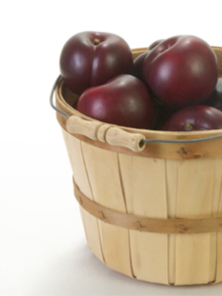 Picture for category Plum