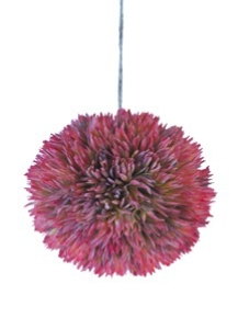 Picture for category ACCESSORIES