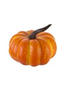 Picture for category PUMPKINS/GOURDS