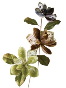 Picture for category Magnolia