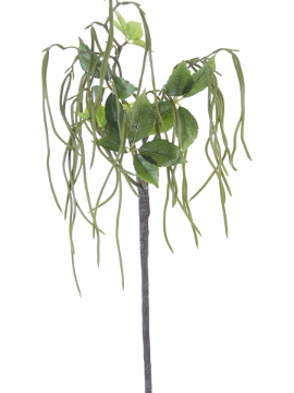 Picture of 42" YOUNG WILLOW SPRAY