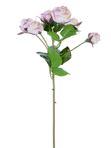 Picture of 22" FRESH TOUCH ENGLISH ROSE BUDS