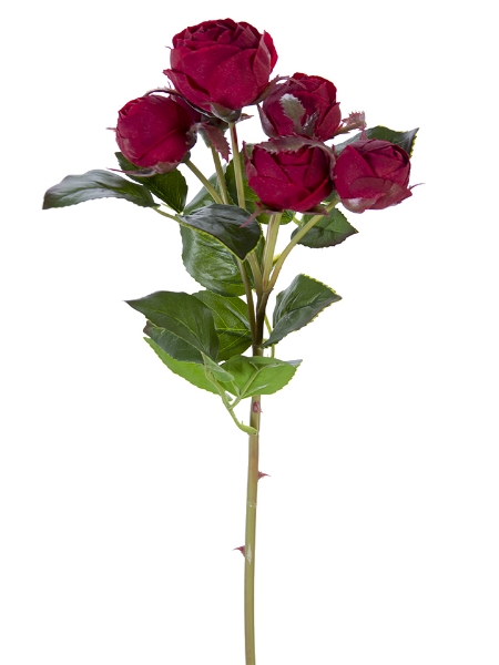 Picture of 22" FRESH TOUCH ENGLISH ROSE BUDS