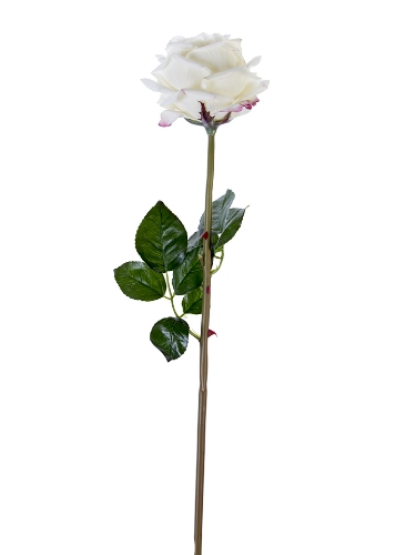 Picture of 27" FRESH TOUCH HEDGEROW ROSE STEM