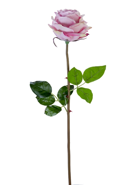 Picture of 27" FRESH TOUCH HEDGEROW ROSE STEM