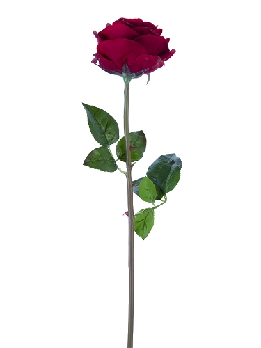 Picture of 27" FRESH TOUCH HEDGEROW ROSE STEM