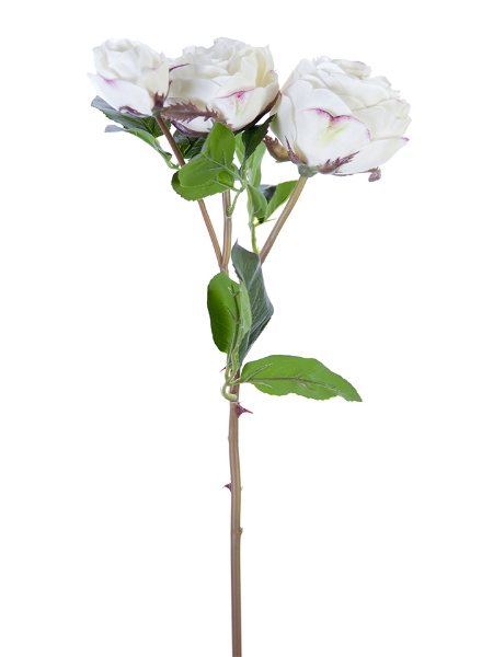 Picture of 21" FRESH TOUCH CABBAGE ROSE SPRAY