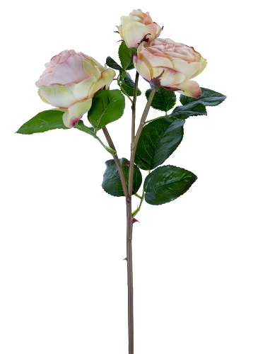 Picture of 21" FRESH TOUCH CABBAGE ROSE SPRAY