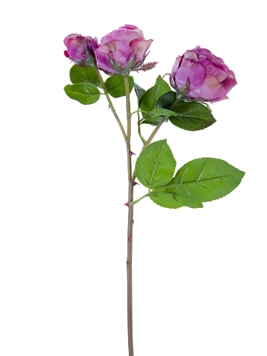 Picture of 21" FRESH TOUCH CABBAGE ROSE SPRAY