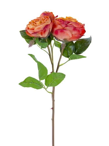 Picture of 21" FRESH TOUCH CABBAGE ROSE SPRAY