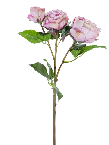 Picture of 21" FRESH TOUCH CABBAGE ROSE SPRAY