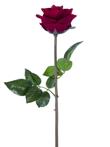 Picture of 25" FRESH TOUCH OPEN BEAUTY ROSE
