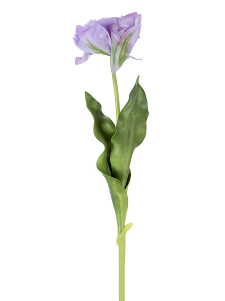 Picture of 23.5" FRESH TOUCH DOUBLE TULIP