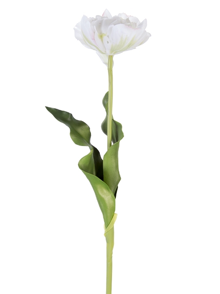 Picture of 23.5" FRESH TOUCH DOUBLE TULIP