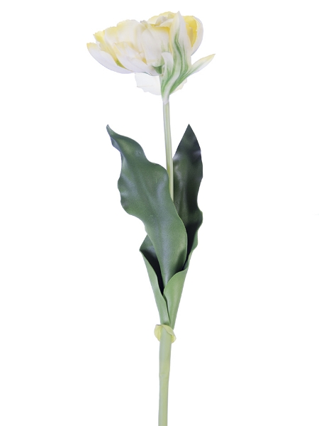 Picture of 23.5" FRESH TOUCH DOUBLE TULIP
