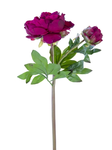 Picture of 23" FRESH TOUCH PEONY