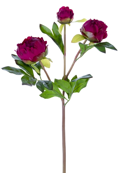 Picture of 28" FRESH TOUCHPEONY BUDS