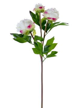 Picture of 28" FRESH TOUCH PEONY BUDS