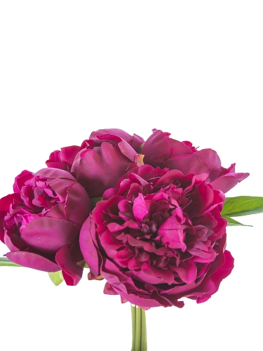 Picture of 10" FRESH TOUCHPEONY BUNDLE