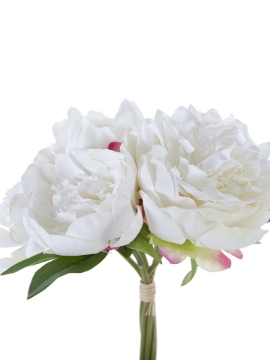 Picture of 10" FRESH TOUCH PEONY BUNDLE