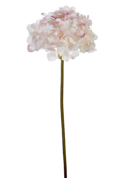 Picture of 21" FRESH TOUCH GARDEN HYDRANGEA