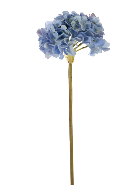 Picture of 21" FRESH TOUCH GARDEN HYDRANGEA
