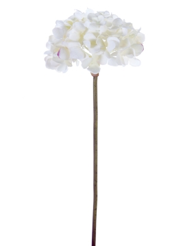 Picture of 21" FRESH TOUCH GARDEN HYDRANGEA