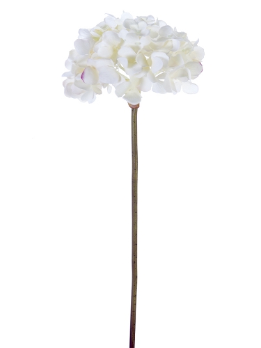 Picture of 21" FRESH TOUCH GARDEN HYDRANGEA