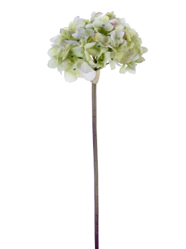 Picture of 21" FRESH TOUCH GARDEN HYDRANGEA