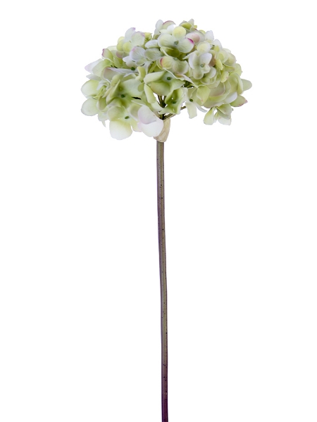 Picture of 21" FRESH TOUCH GARDEN HYDRANGEA