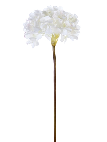 Picture of 21" FRESH TOUCH GARDEN HYDRANGEA