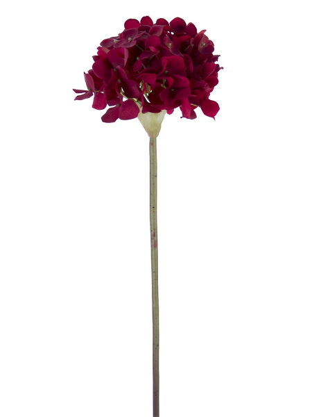 Picture of 21" FRESH TOUCH GARDEN HYDRANGEA