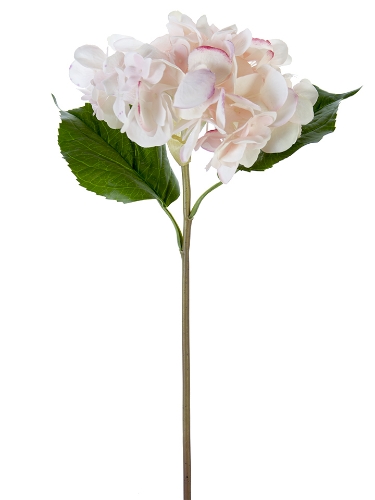 Picture of 22" FRESH TOUCH GRAND HYDRANGEA