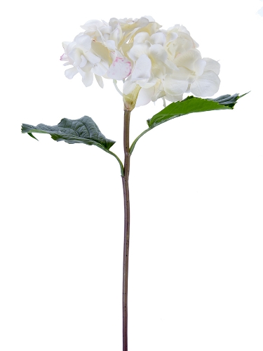 Picture of 22" FRESH TOUCH GRAND HYDRANGEA