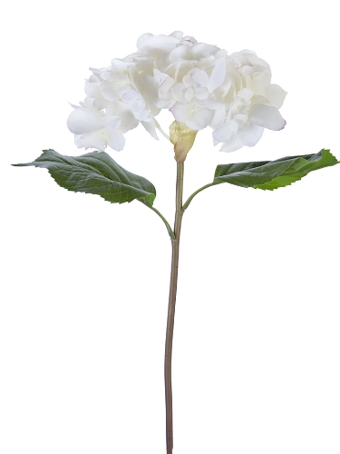 Picture of 22" FRESH TOUCH GRAND HYDRANGEA