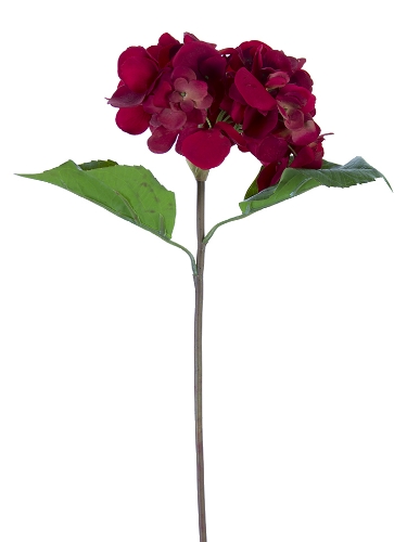 Picture of 22" FRESH TOUCH GRAND HYDRANGEA