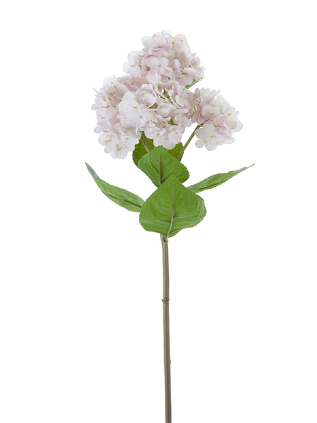 Picture of 25.5" FRESH TOUCH GARDEN HYDRANGEA
