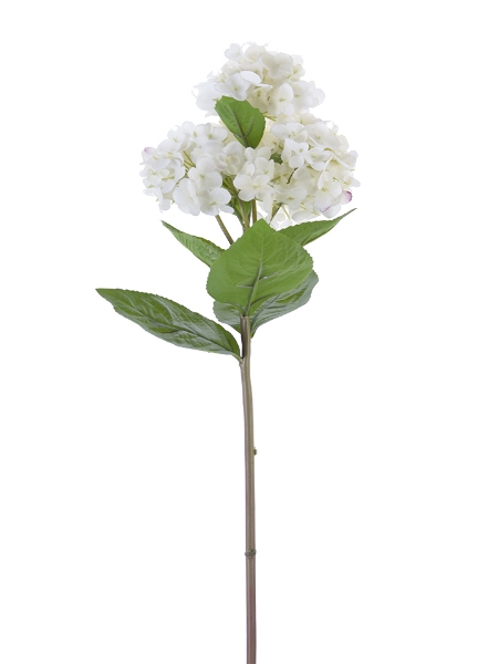 Picture of 25.5" FRESH TOUCH GARDEN HYDRANGEA