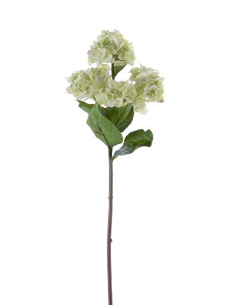 Picture of 25.5" FRESH TOUCH GARDEN HYDRANGEA