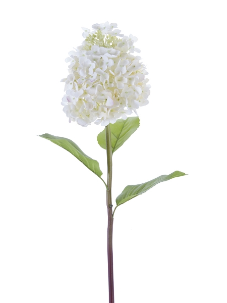 Picture of 25" FRESH TOUCH CONE HYDRANGEA