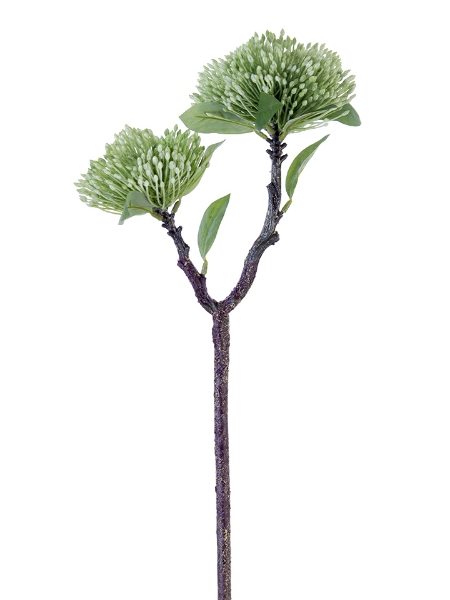 Picture of 21.5" SPIKY WILD FLOWER SPRAY