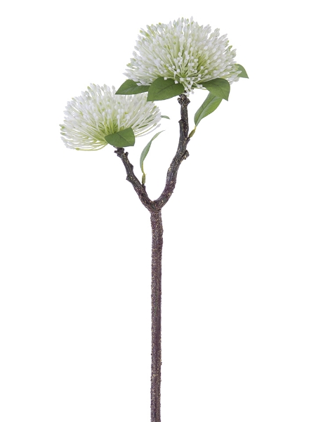 Picture of 21.5" SPIKY WILD FLOWER SPRAY