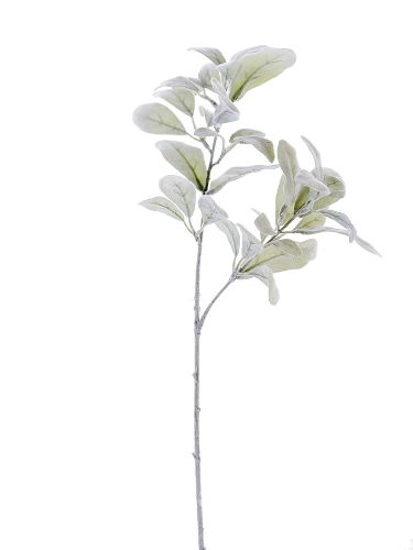 Picture of 27" LAMBS EAR SPRAY