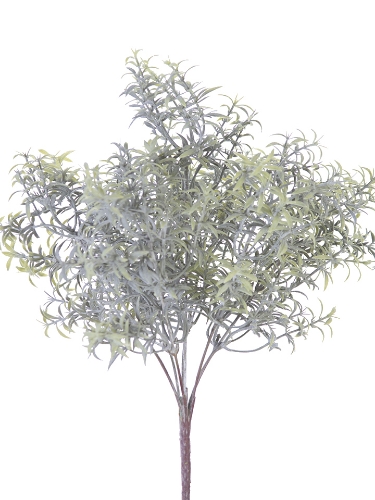Picture of 13" ROSEMARY GRASS BUSH