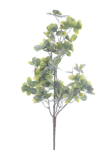 Picture of 22" CLOVER LEAF SPRAY