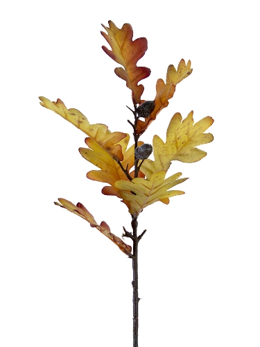 Picture of 25" OAK LEAF ACORN SPRAY